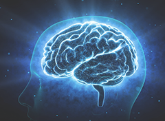 日本でも例を見ない「脳の整体」セロトニン活性療法®を開発